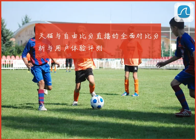 天猫与自由比分直播的全面对比分析与用户体验评测