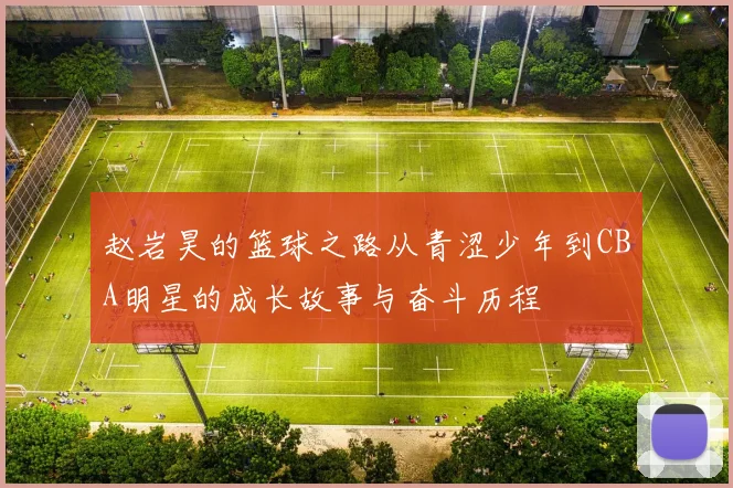 赵岩昊的篮球之路从青涩少年到CBA明星的成长故事与奋斗历程