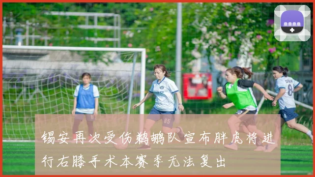 锡安再次受伤鹈鹕队宣布胖虎将进行右膝手术本赛季无法复出