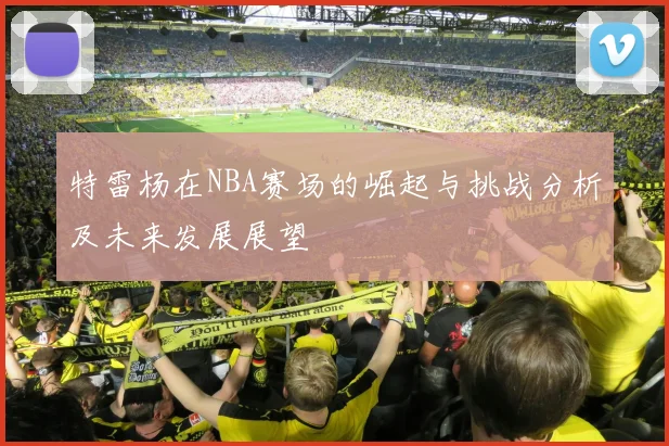 特雷杨在NBA赛场的崛起与挑战分析及未来发展展望