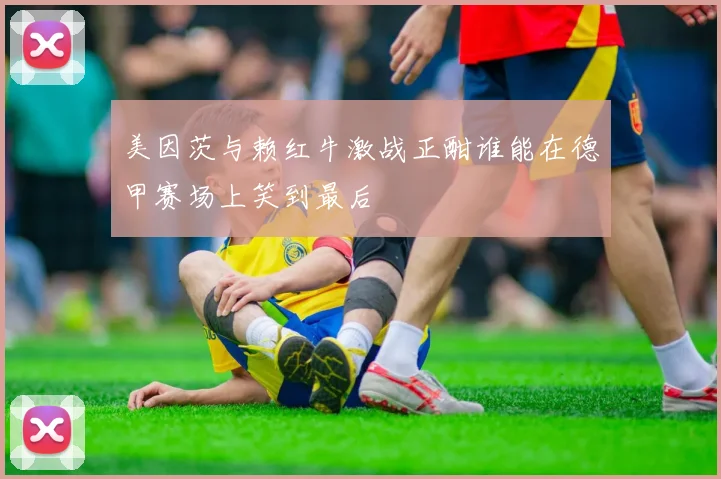 美因茨与赖红牛激战正酣谁能在德甲赛场上笑到最后